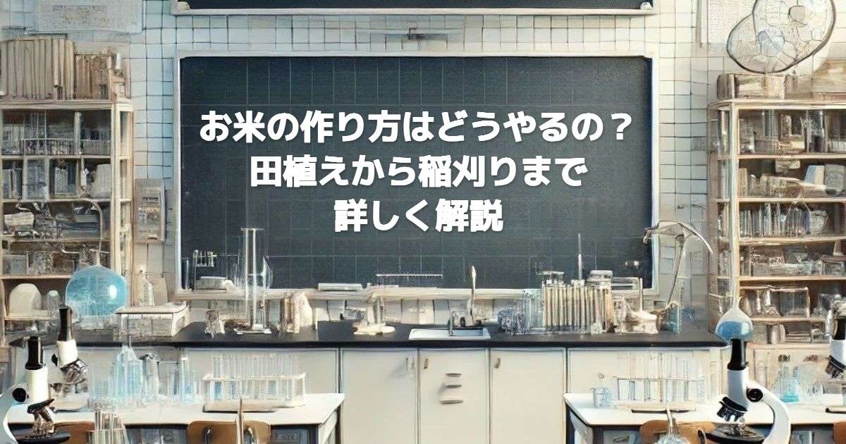 お米の作り方はどうやるの？田植えから稲刈りまで詳しく解説